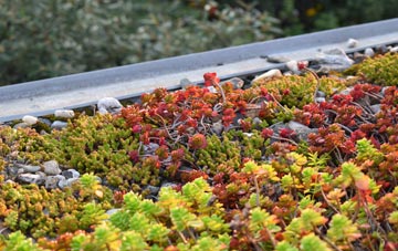 the cost of Cladach Chnoc A Lin green roof installation