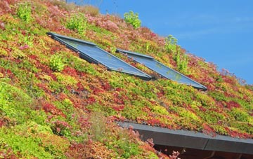 Cladach Chnoc A Lin living roof systems